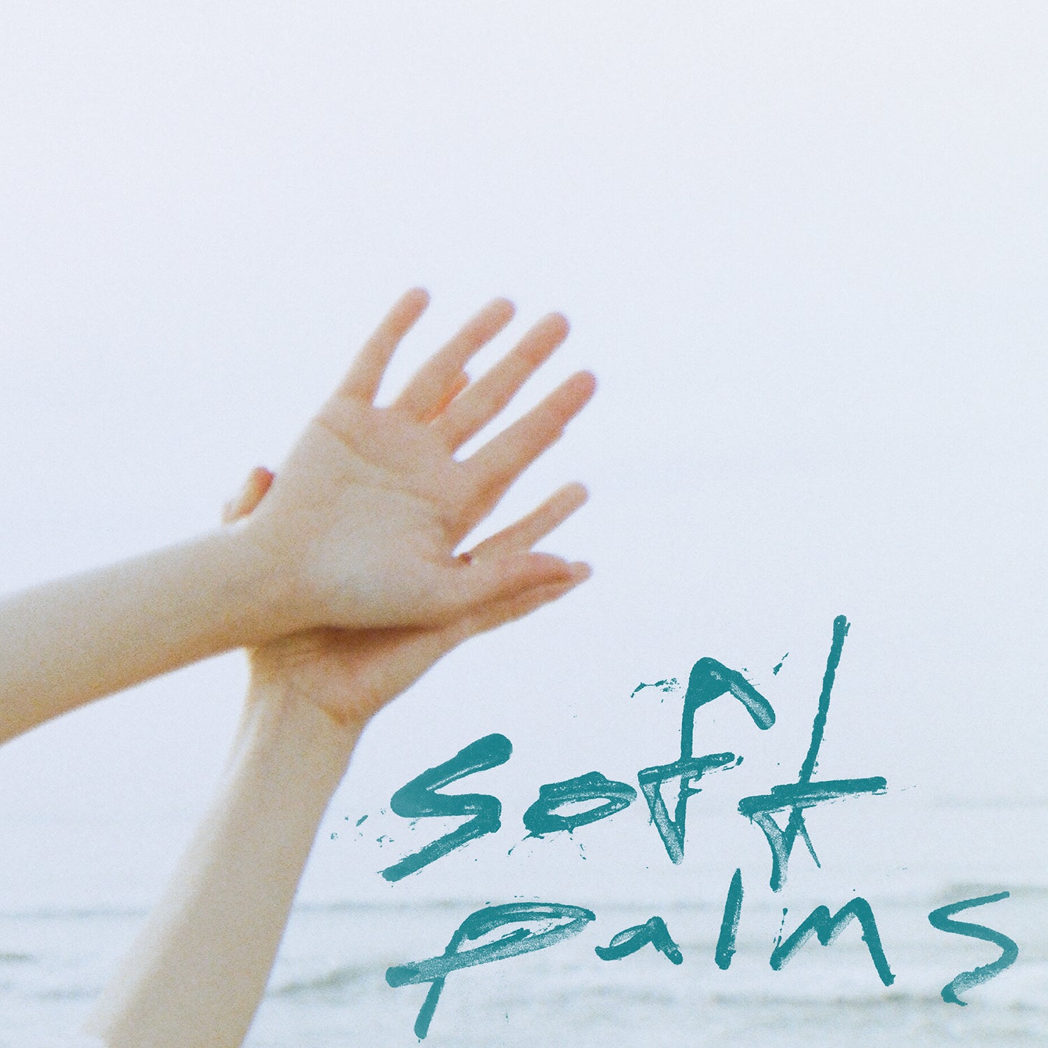Soft Palms